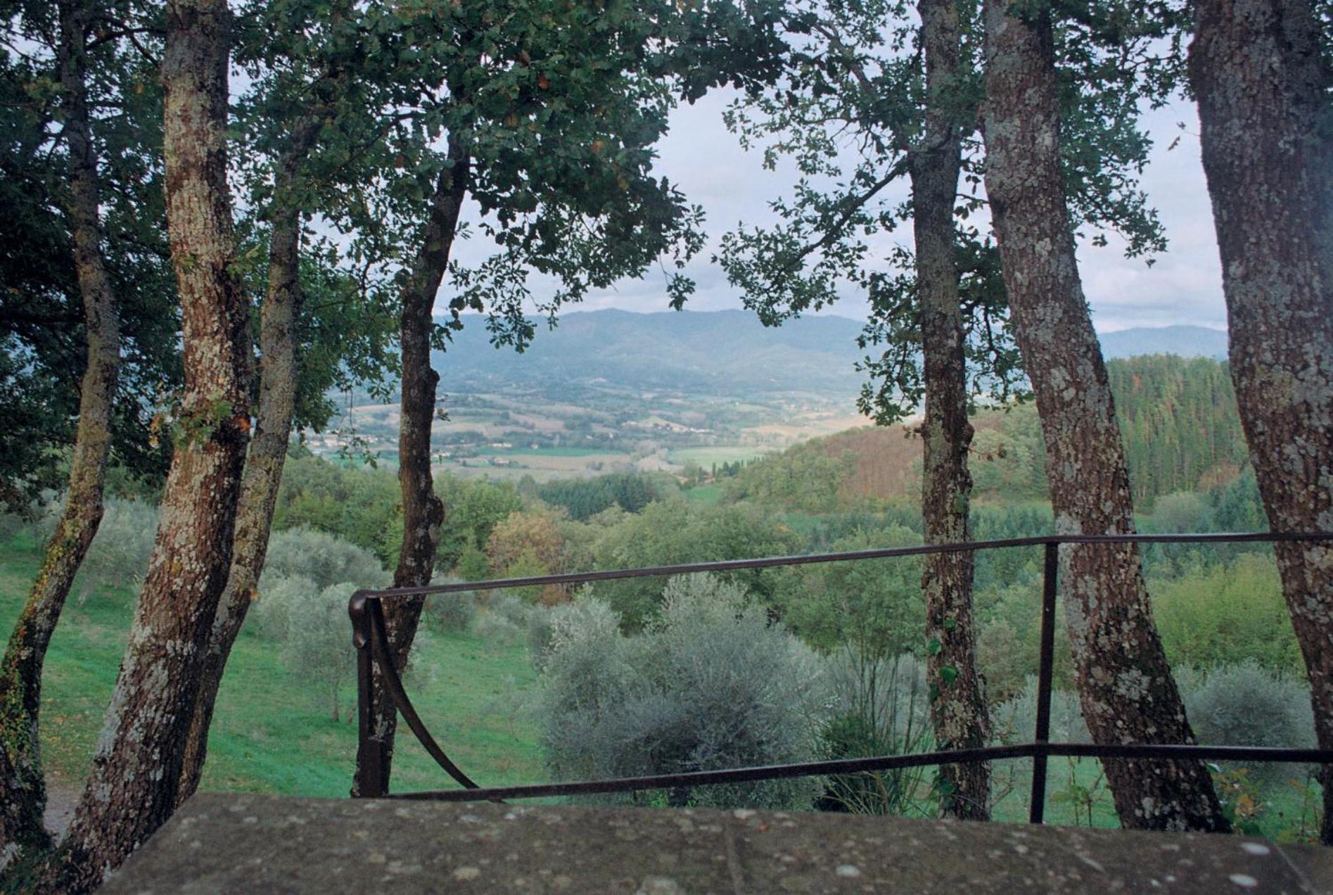 Podere Capitignano Borgo San Lorenzo Rum bild