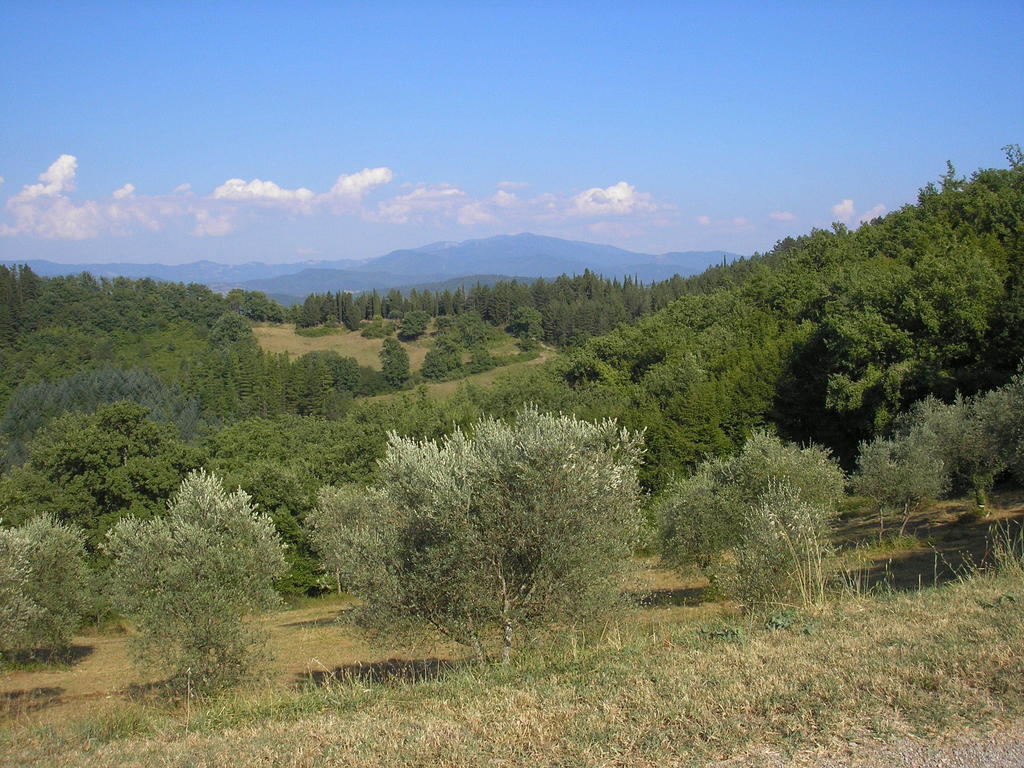 Podere Capitignano Borgo San Lorenzo Exteriör bild